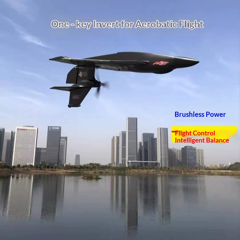 6CH RC Aircraft H650 Raptor Br - огляд і ціна Rc Wing Glider