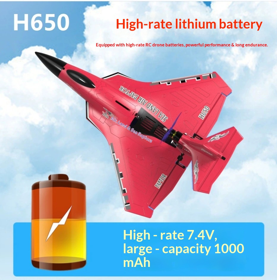 6CH RC Aircraft H650 Raptor Br - огляд і ціна Rc Wing Glider