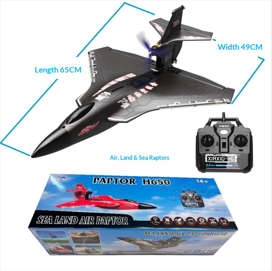 6CH RC Aircraft H650 Raptor Br - огляд і ціна Rc Wing Glider